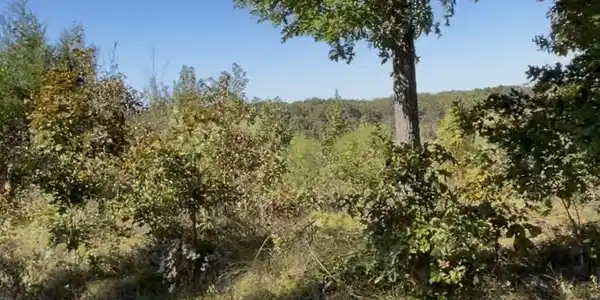 Lot 3318 Ohio Dr