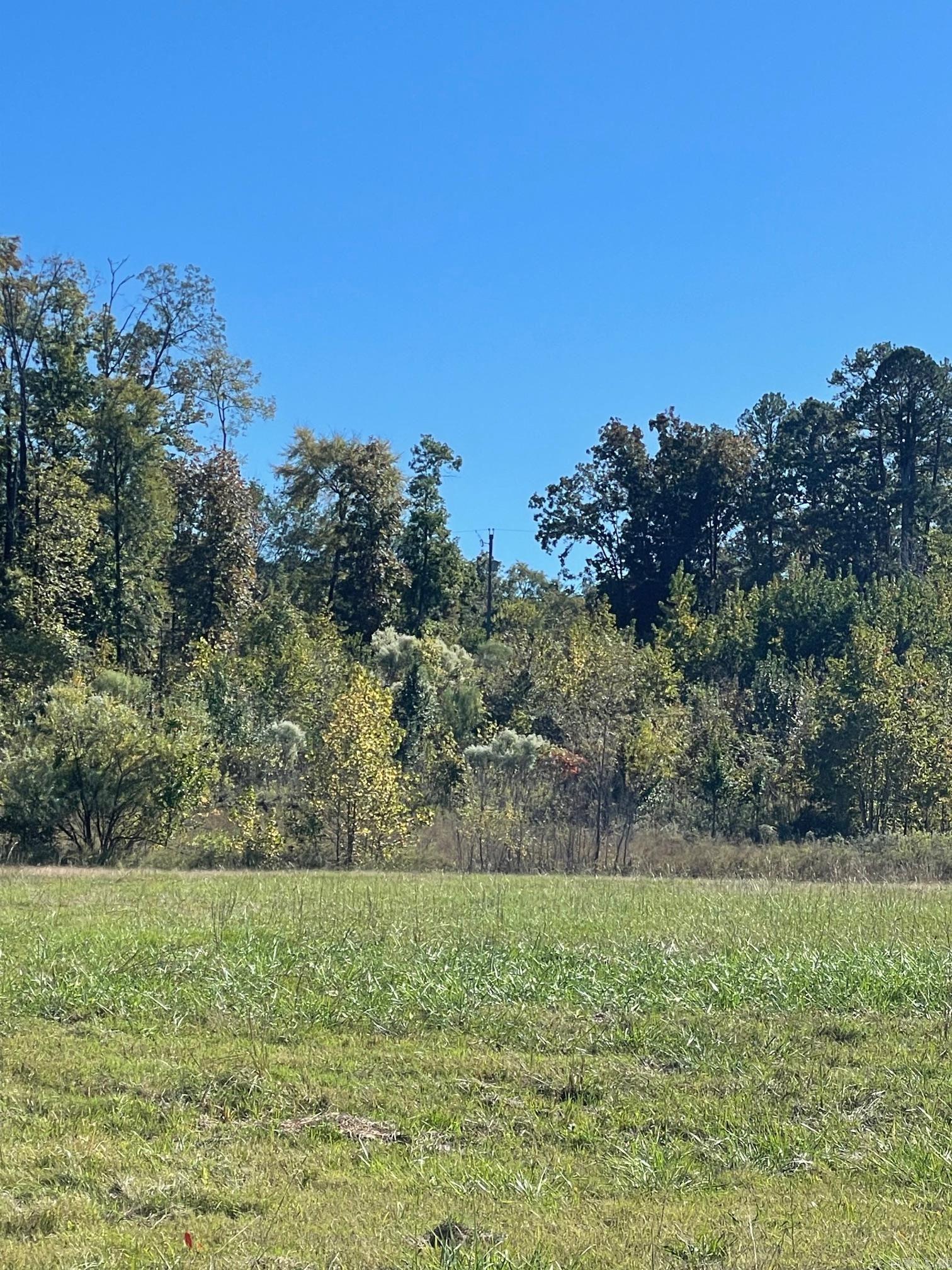 Image 1: The back of the property