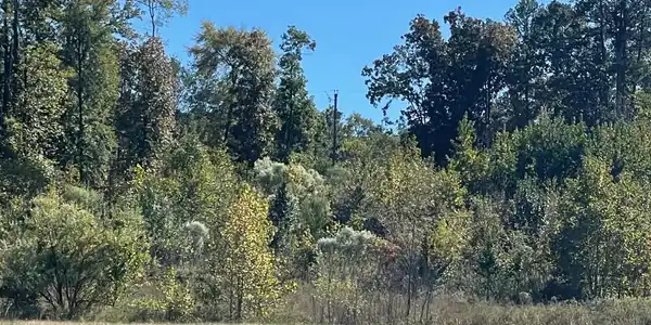 Image 1: The back of the property