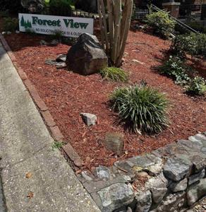 Lot 31 Forest View Circle