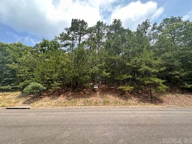 Image 1: Image 1