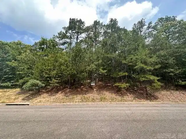 Image 1: Image 1