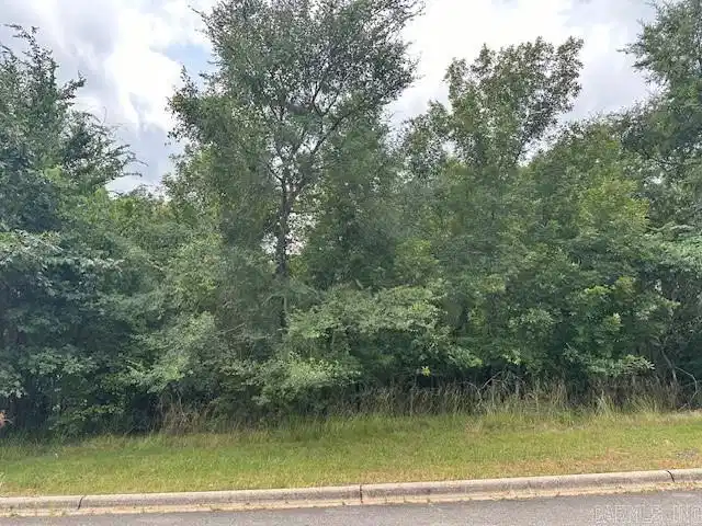 Image 1: Image 1