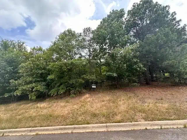 Image 1: Image 1