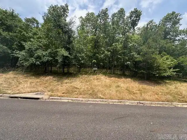 Image 1: Image 1