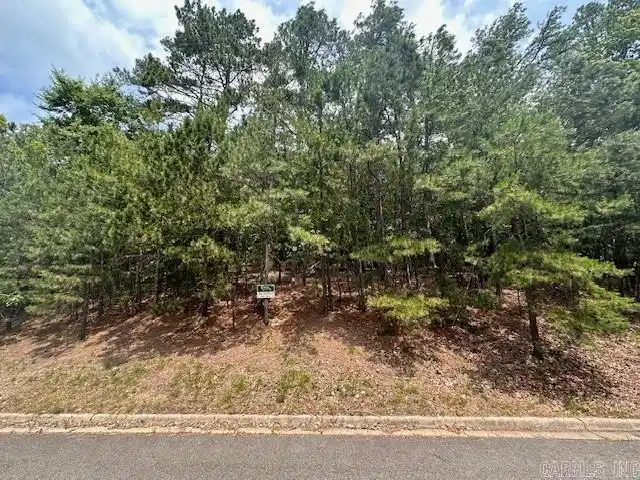 Image 1: Image 1
