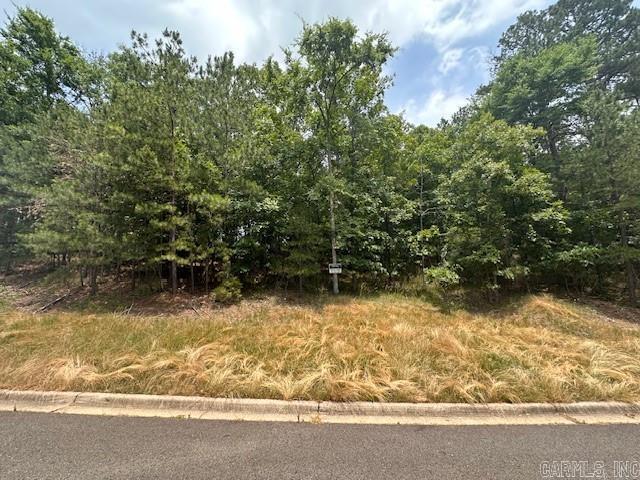 Image 1: Image 1