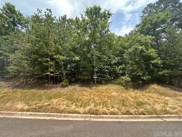 Image 1: Image 1