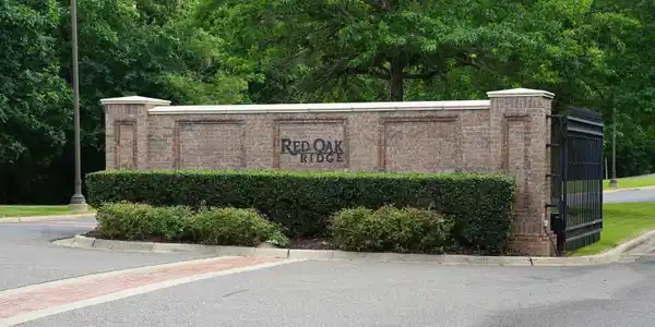 Image 3: Image 3