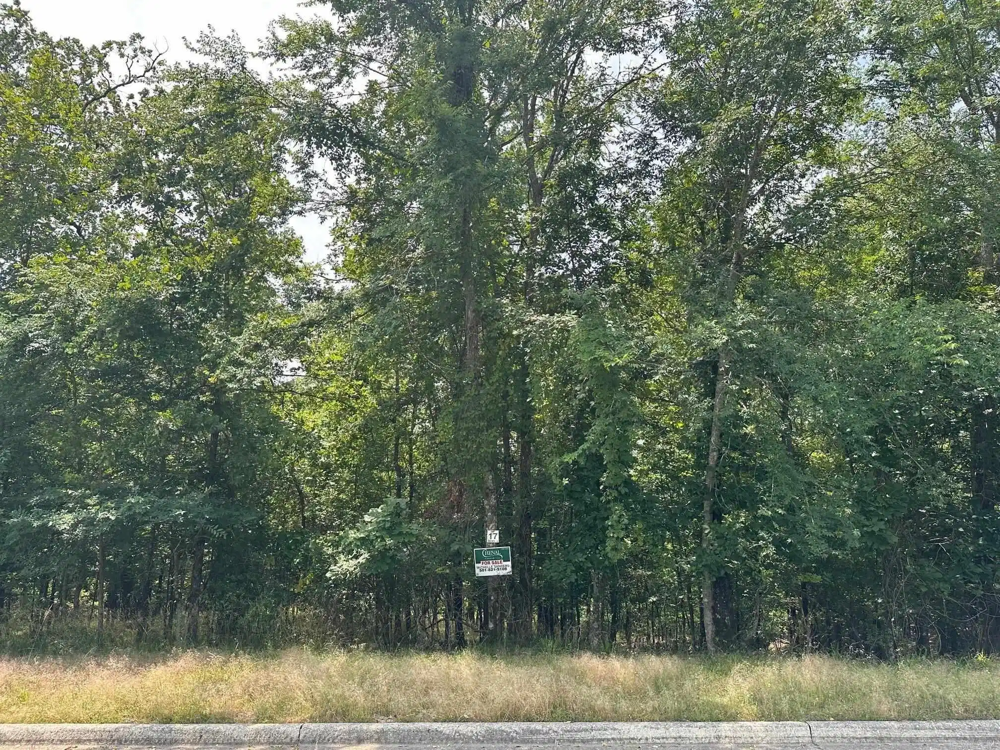 Image 1: Image 1