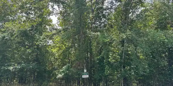 224 Dellmere Drive