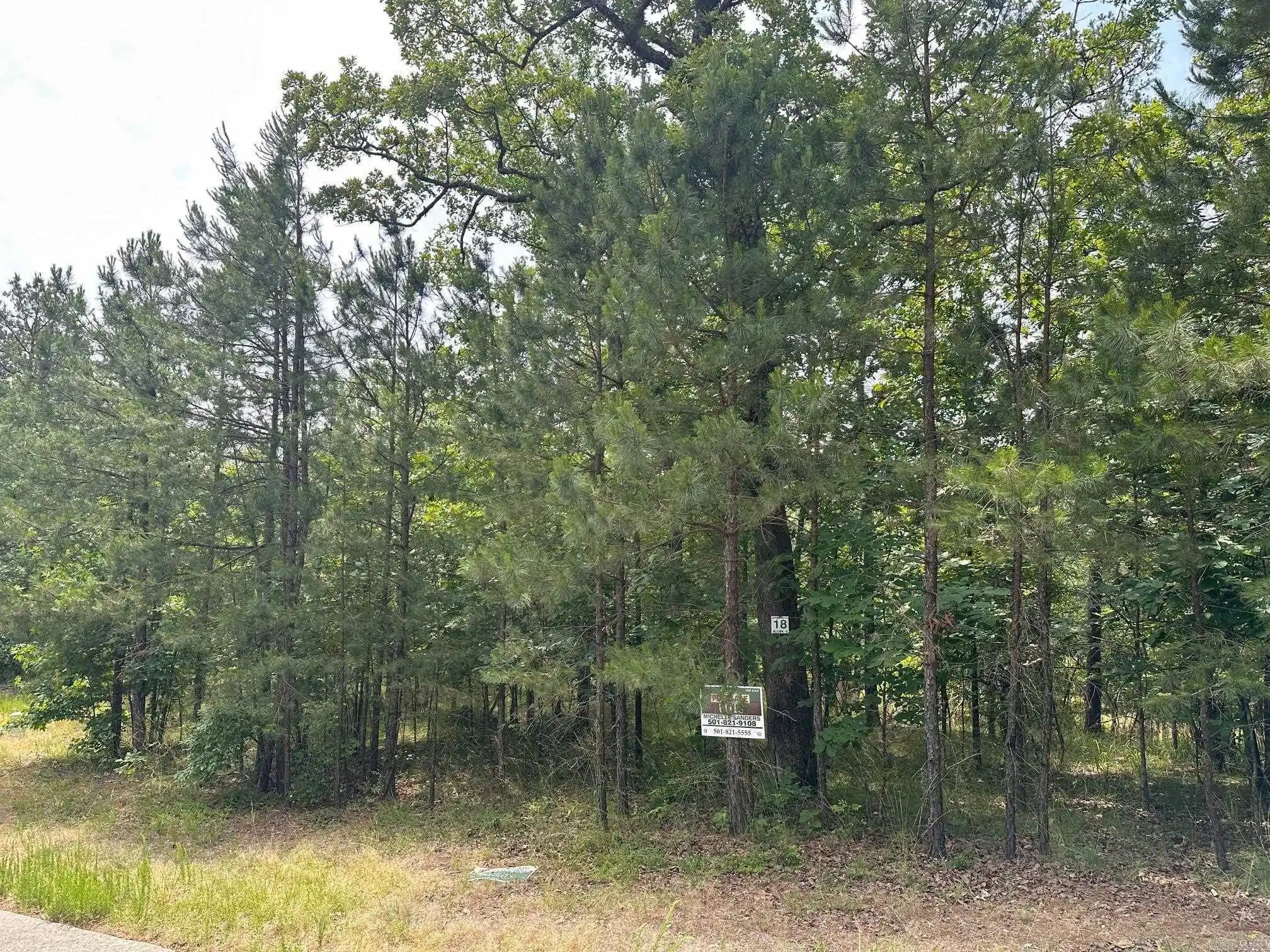 Image 1: Image 1