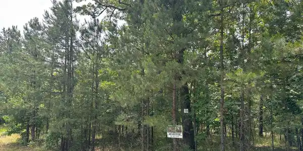 232 Dellmere Drive