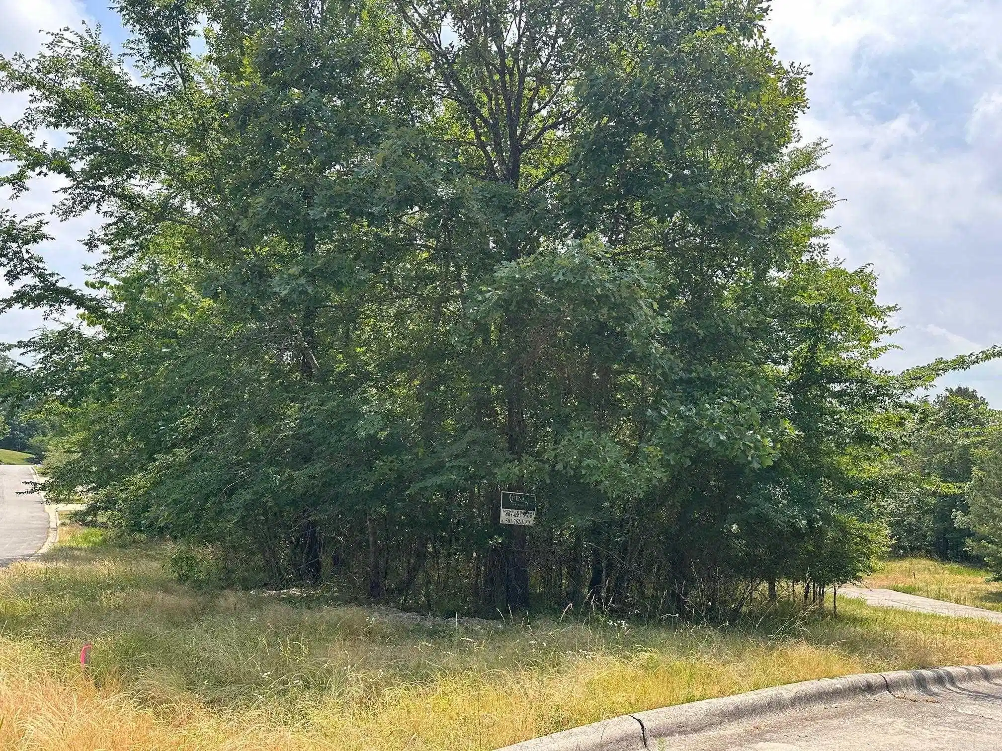 Image 1: Image 1