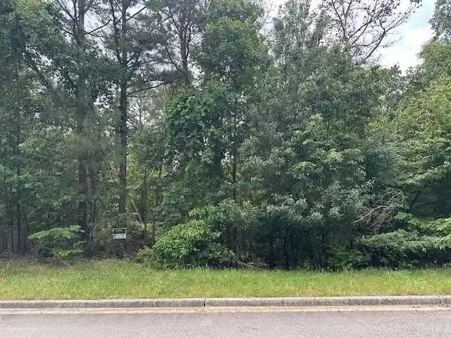 Image 1: Image 1