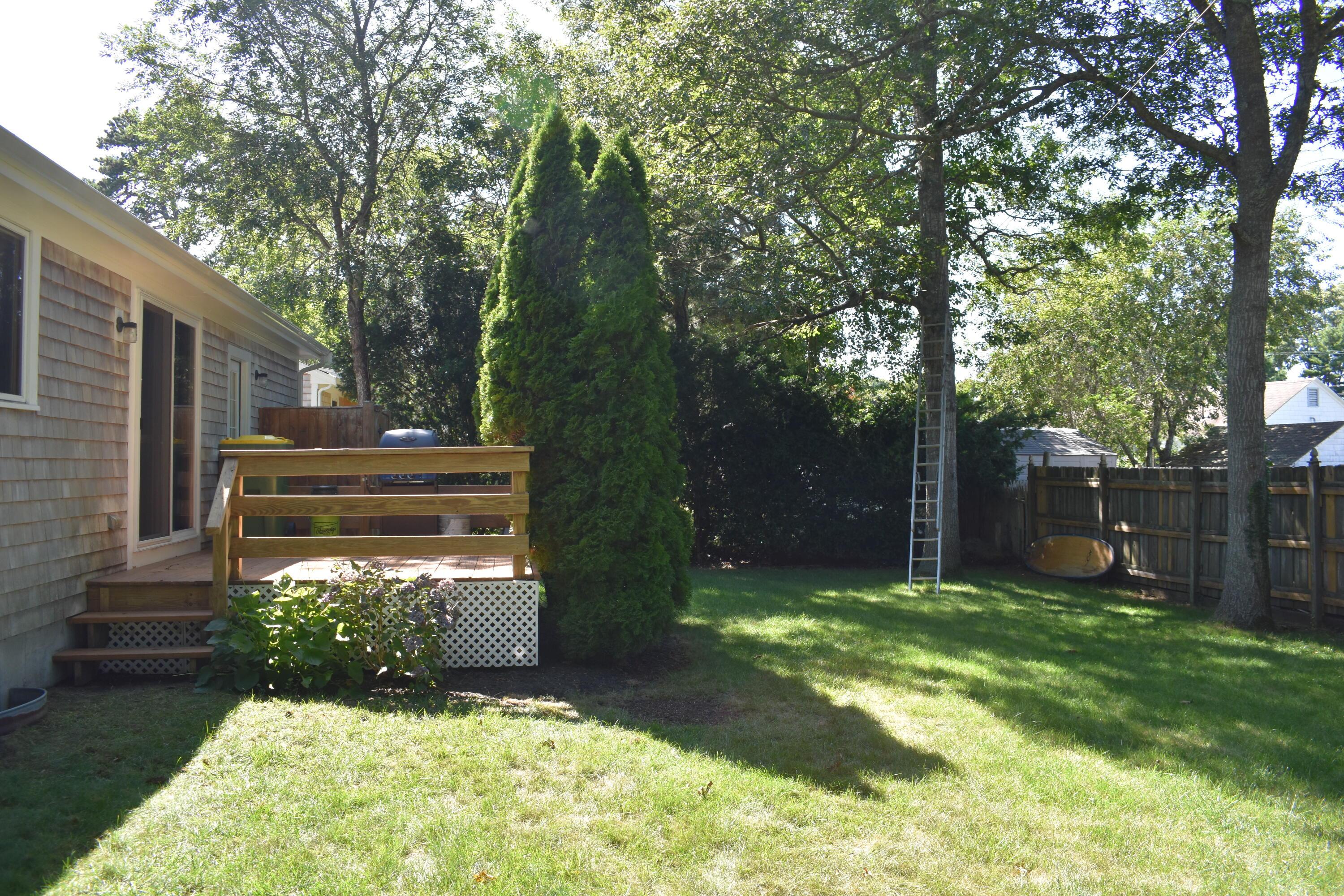 Image 2: Rear yard