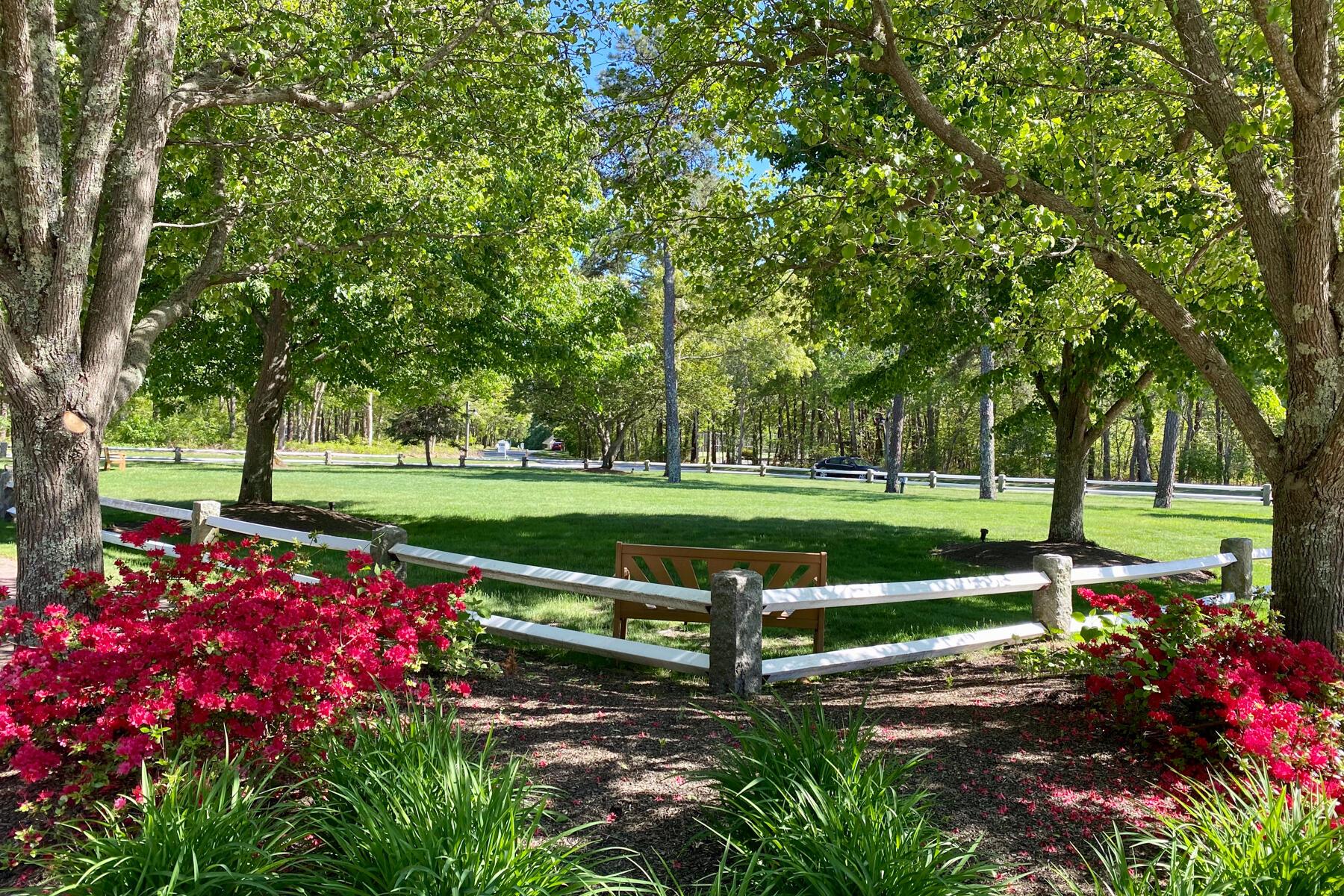 Image 2: Village Green