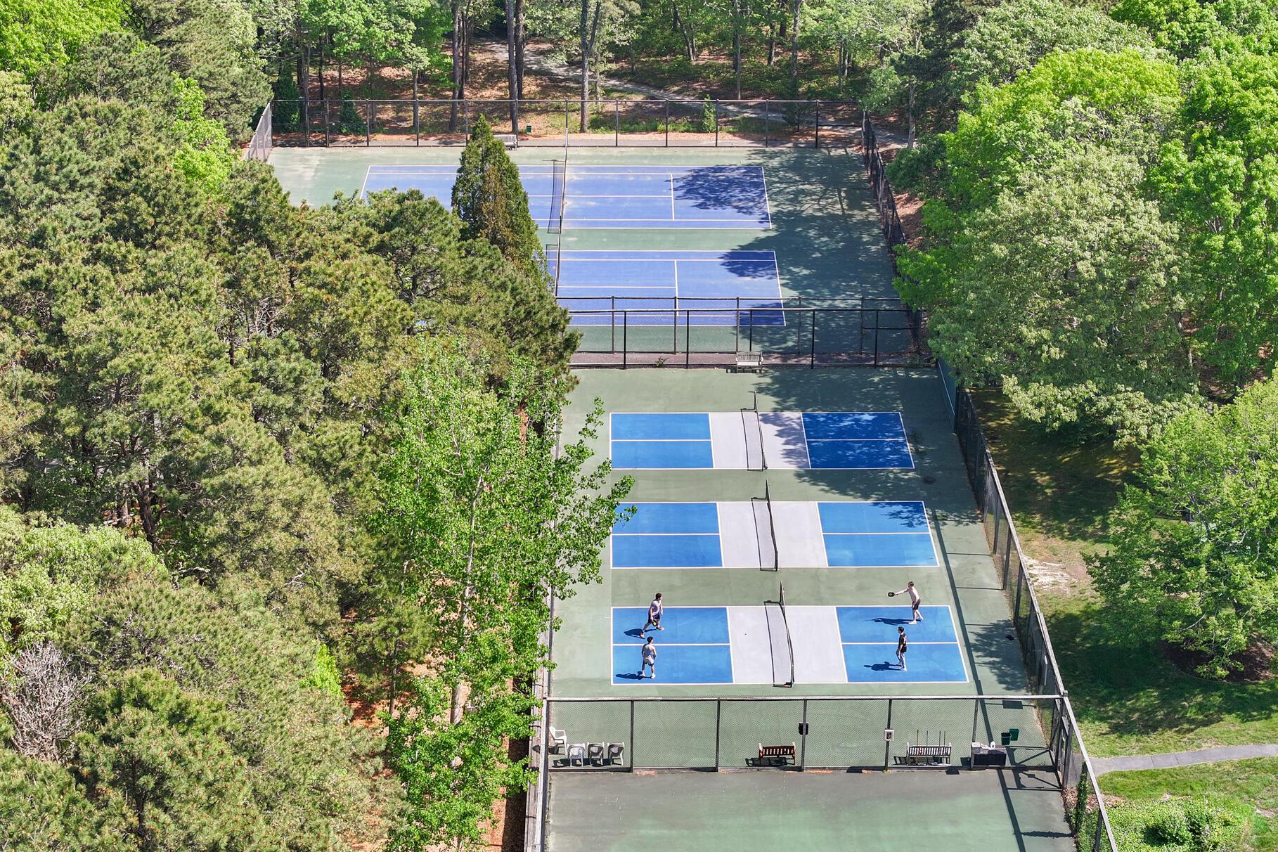 Image 3: dji_0758-Pickleball