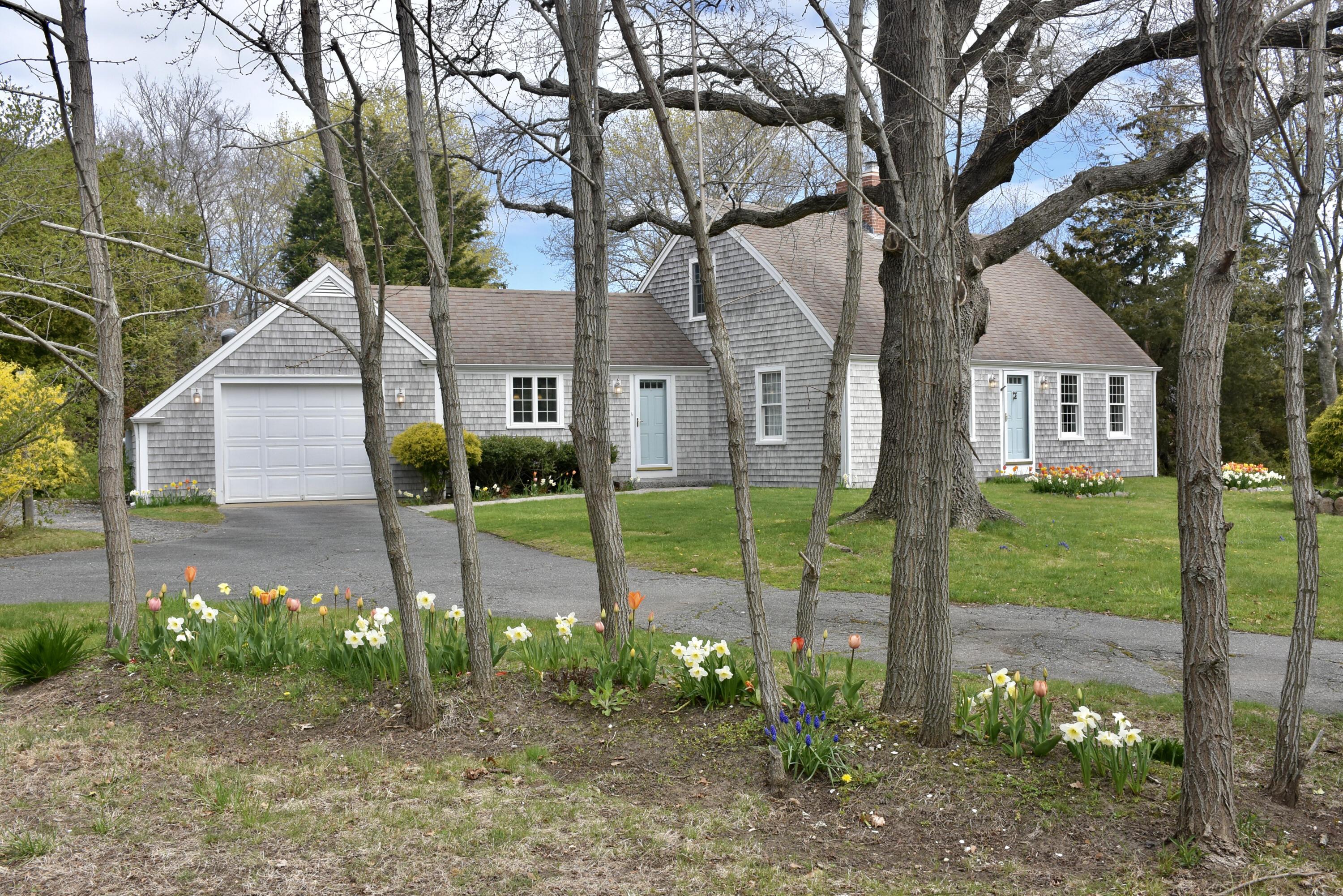 Image 3: Front with trees