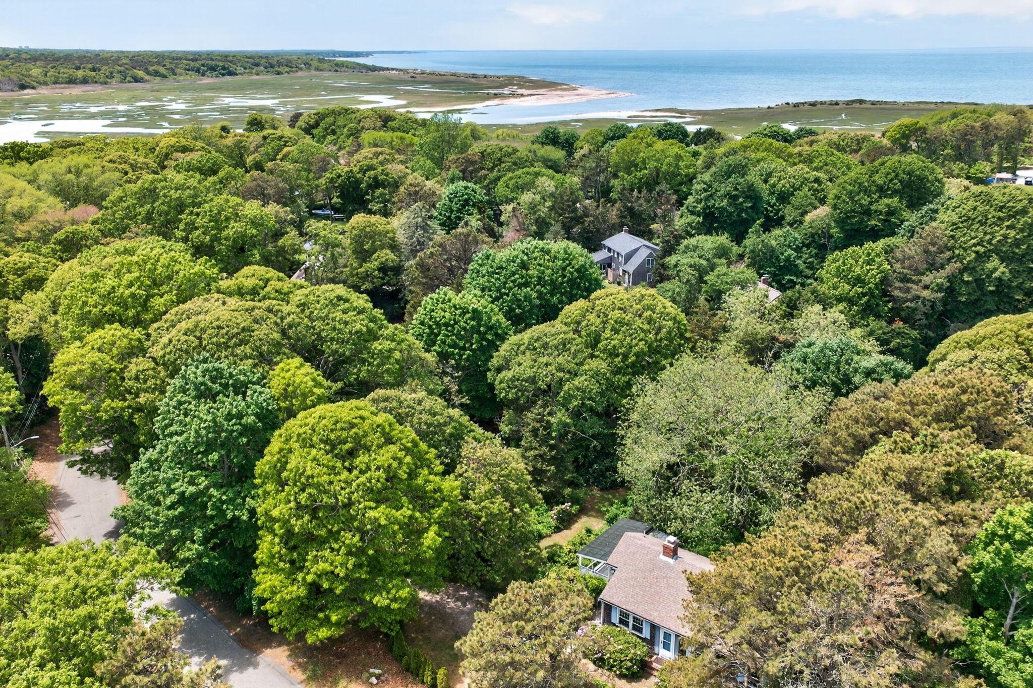 Image 3: 6-DJI_20260531124321_0322_D