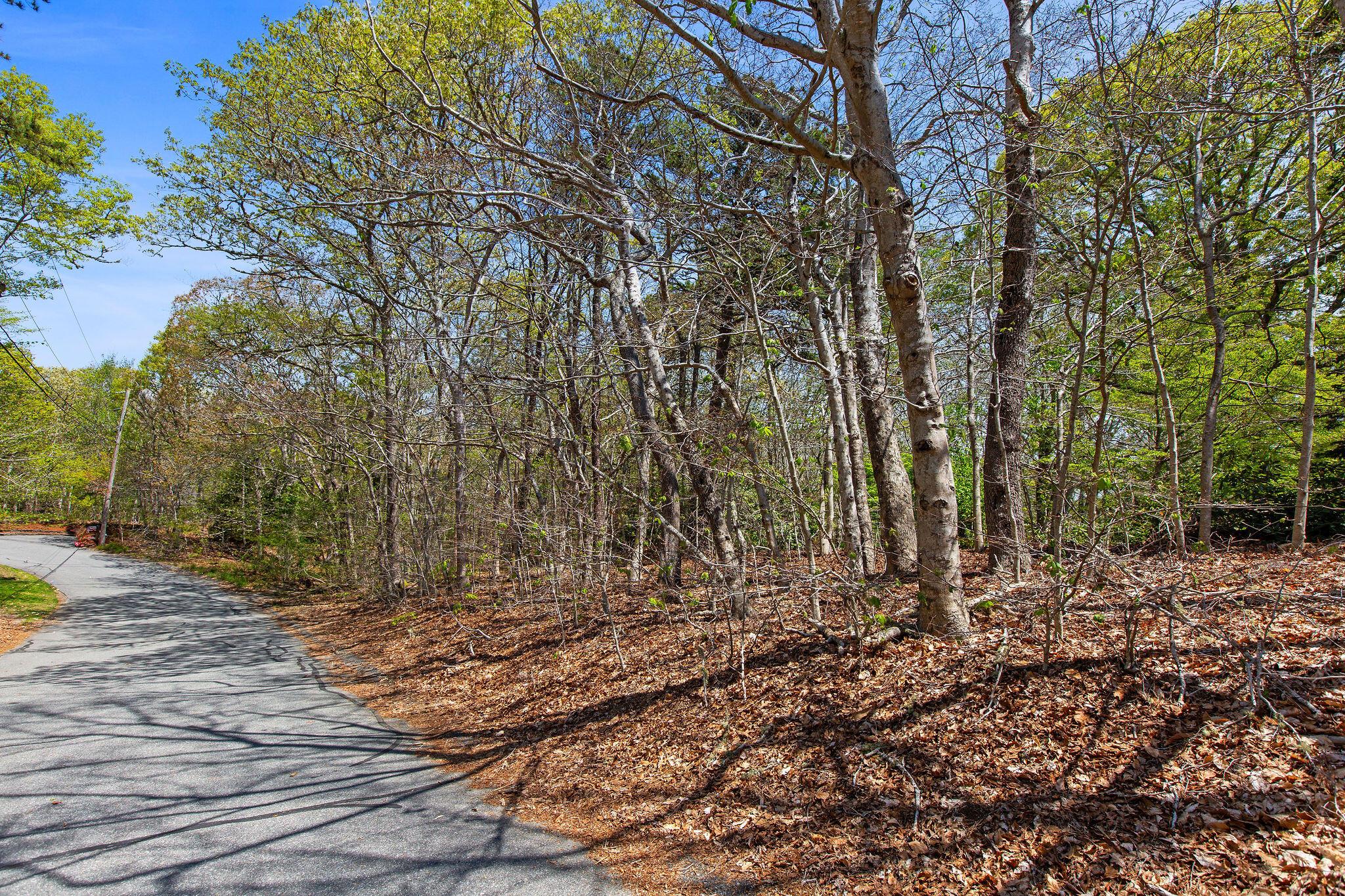 Image 2: 206LandingLn-76