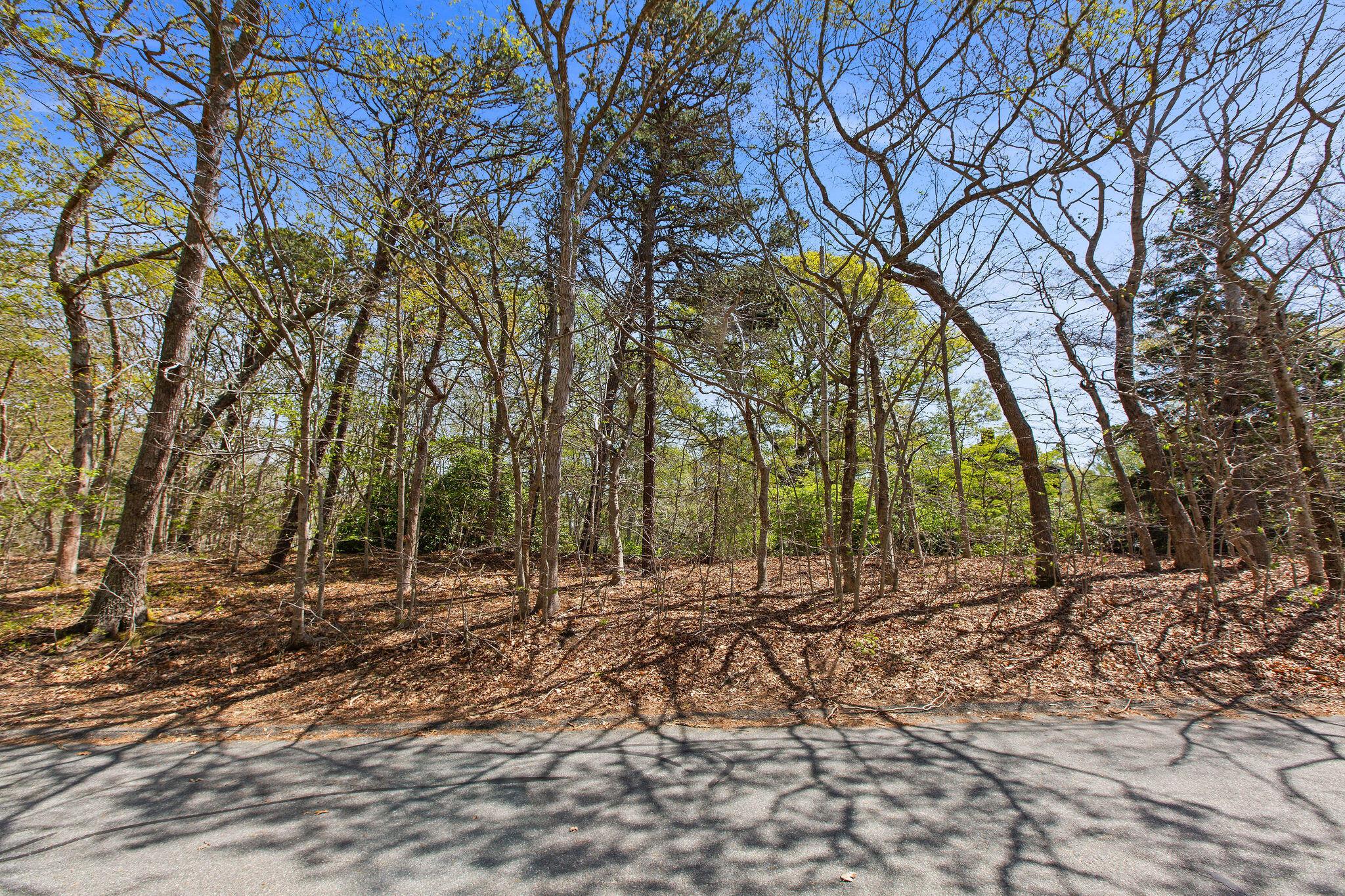 Image 3: 206LandingLn-77