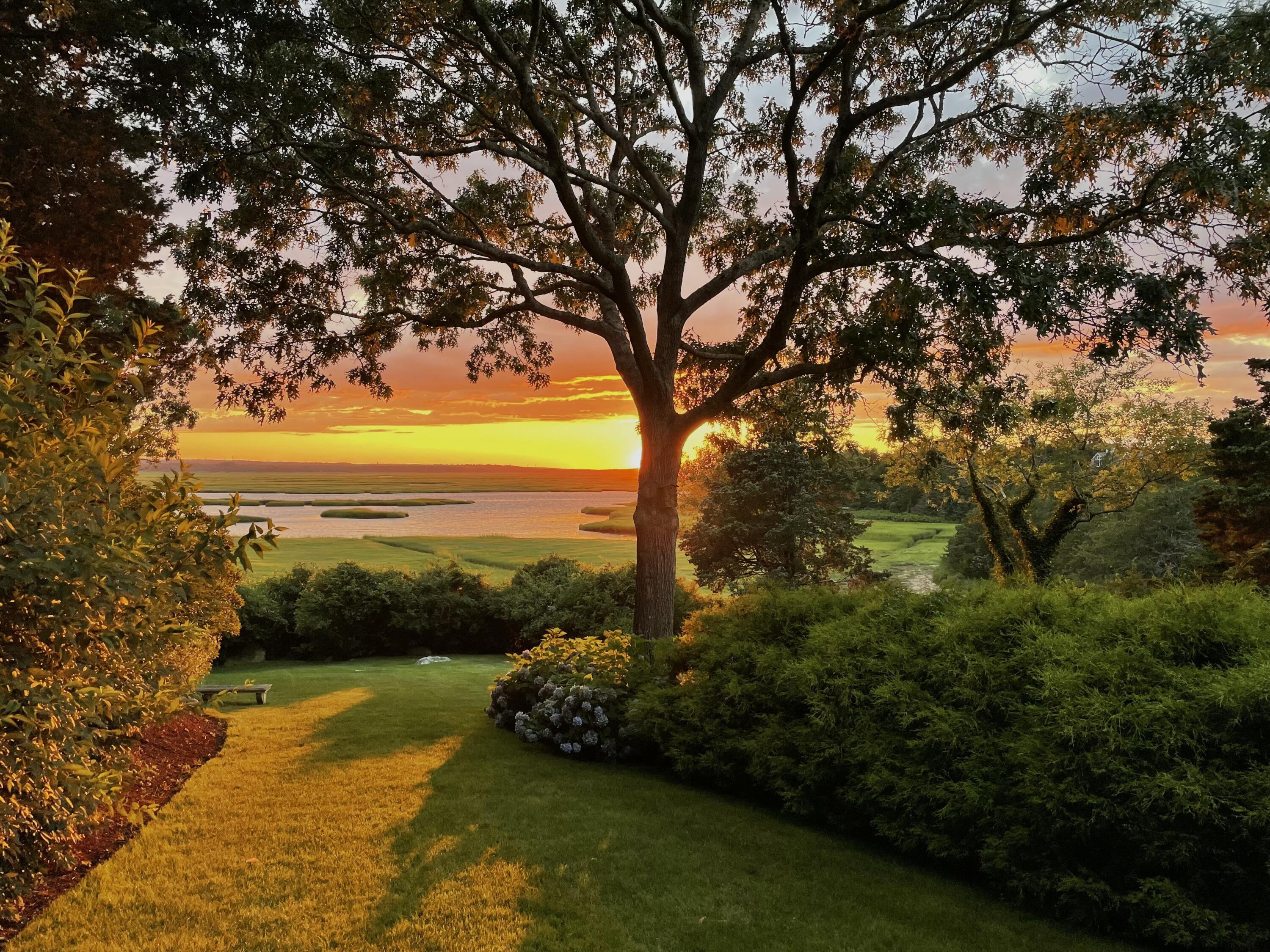 Image 4: 11 Sheperds sunset photo