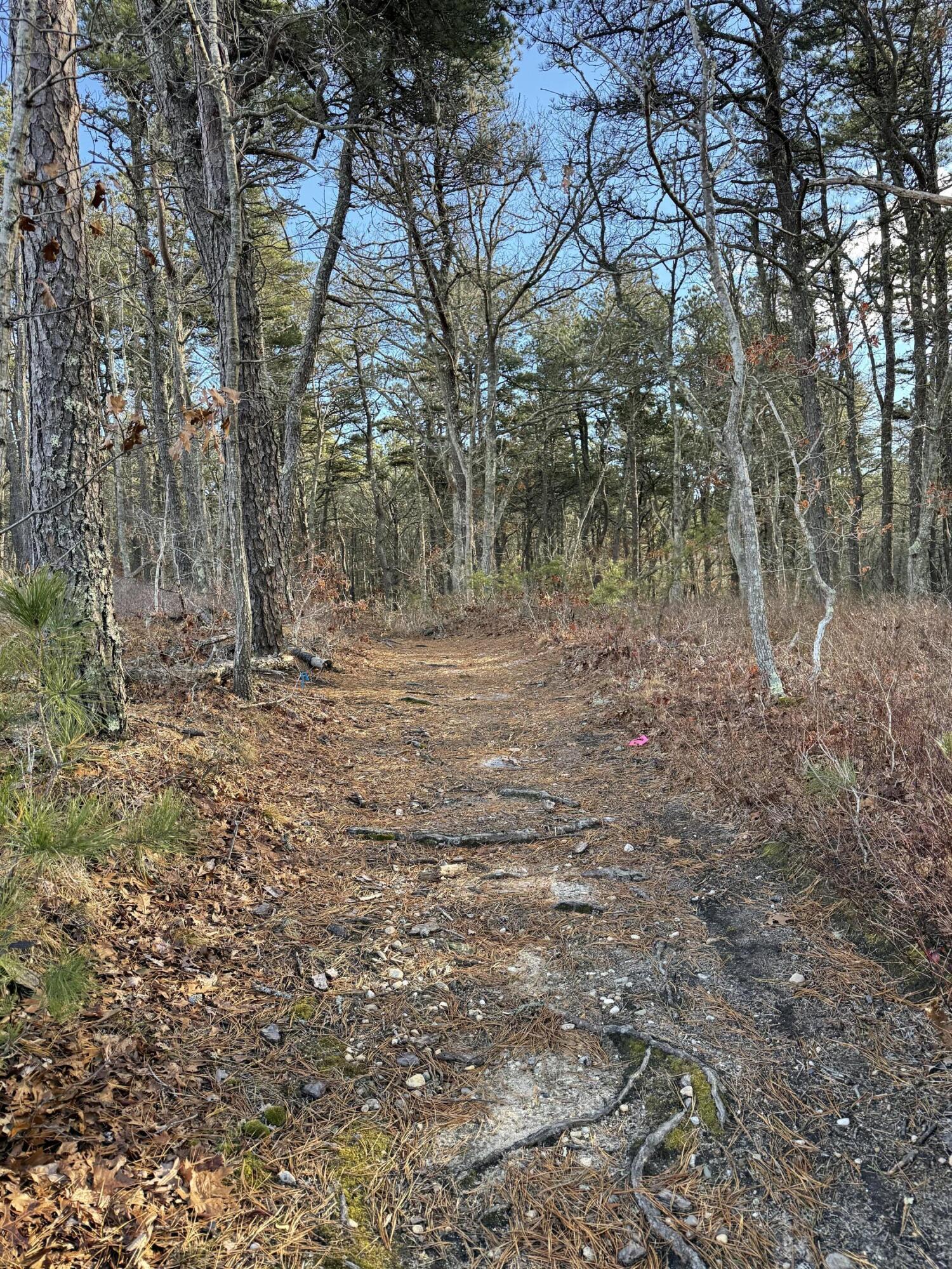 Image 4: Walking Trails