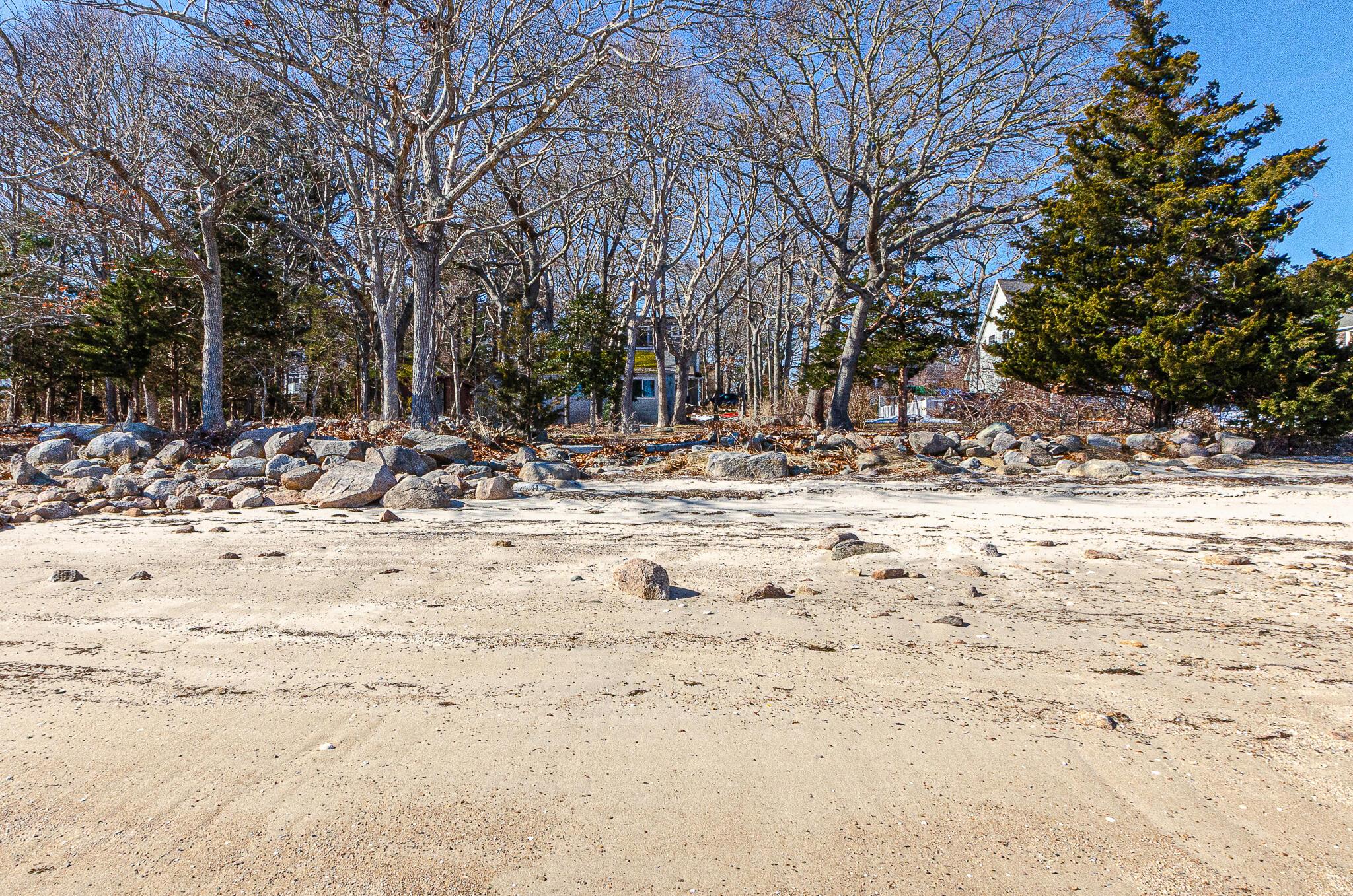 Image 4: Beach