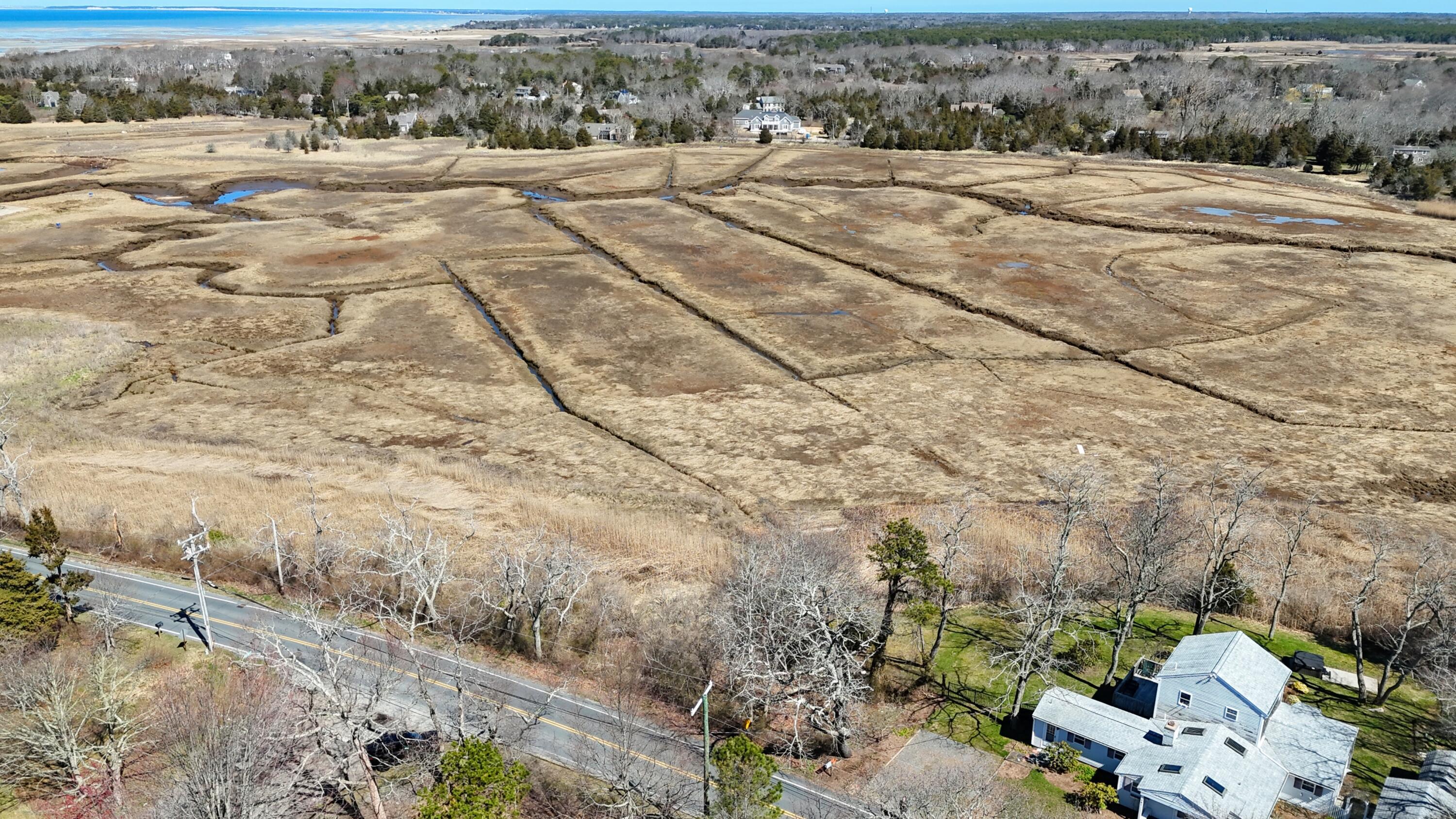 Image 4: DJI_20260409111141_0193_D ()