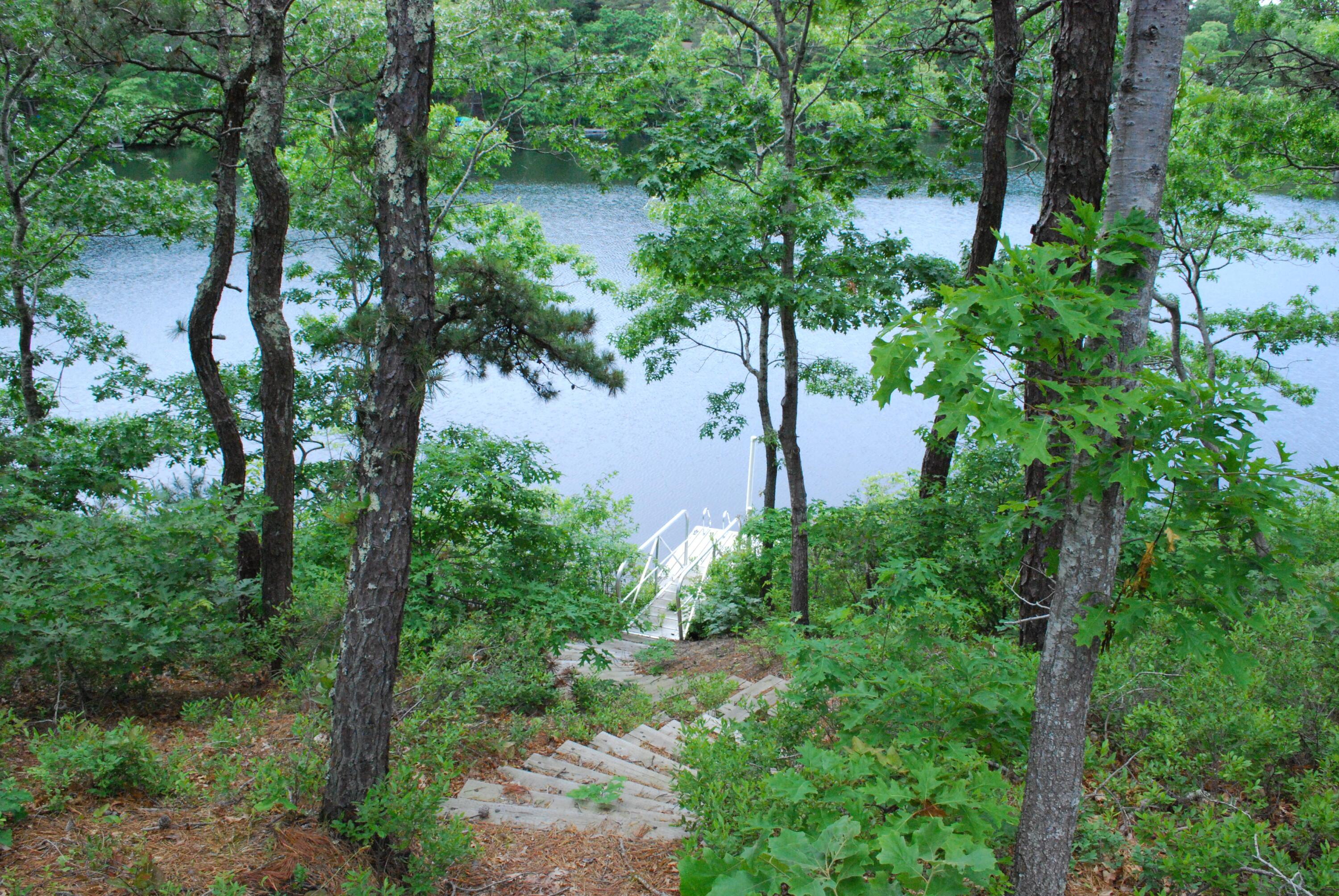 Image 2: mls05