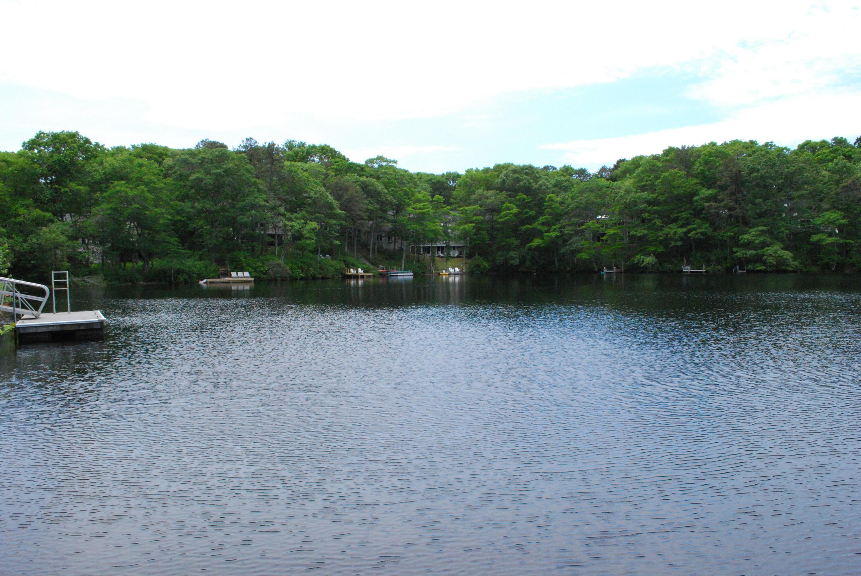 Image 3: mls06