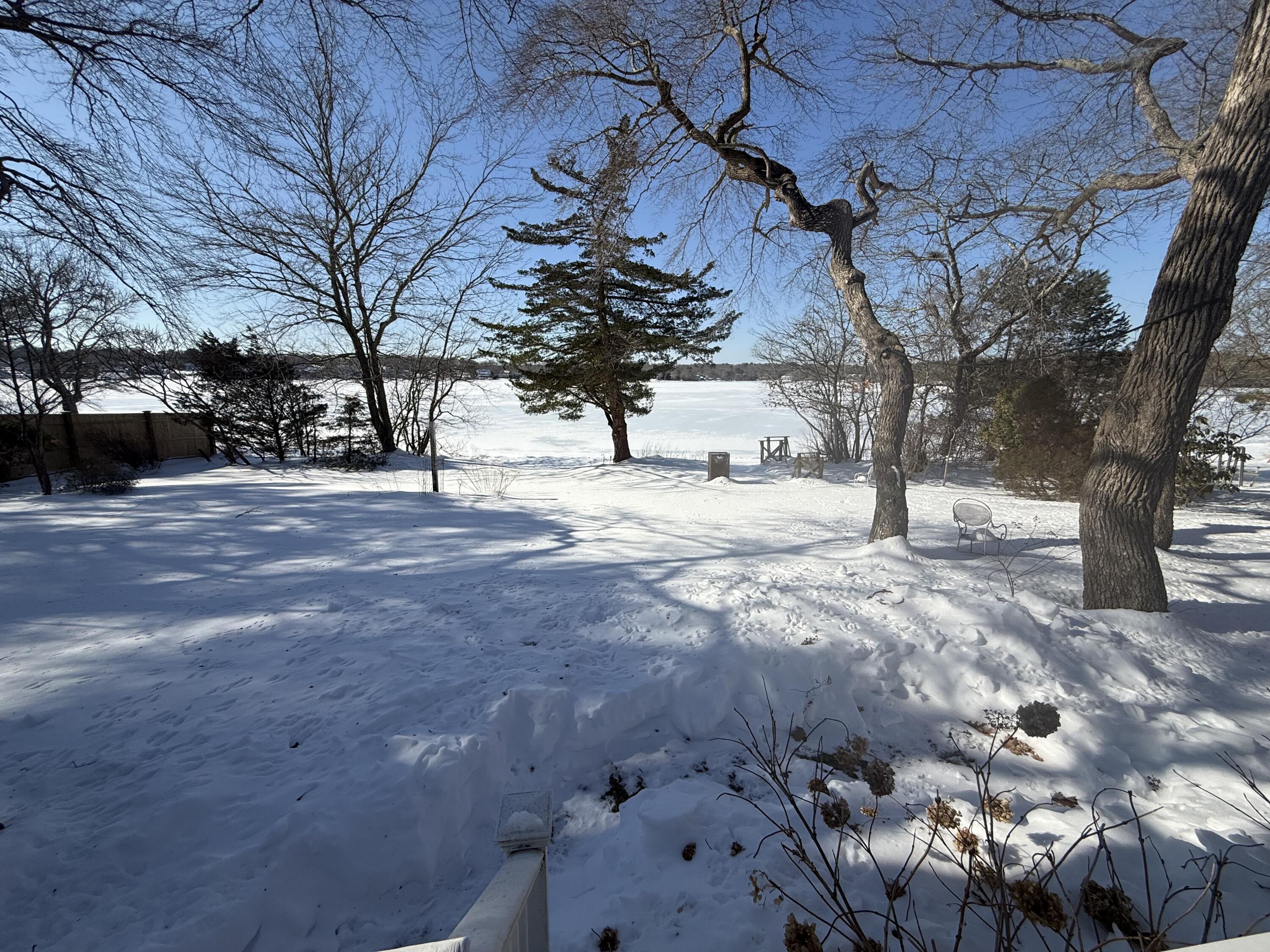 Image 4: IMG_3299
