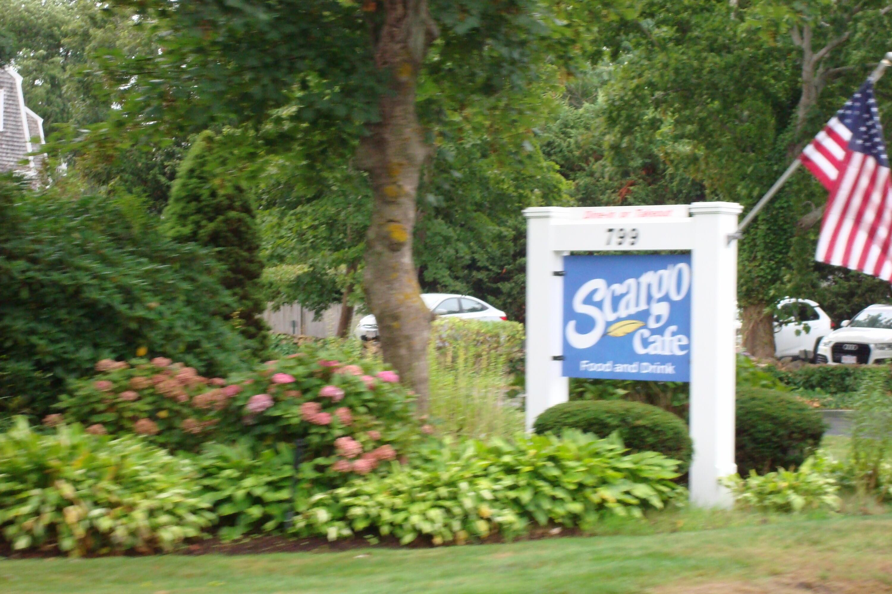 Image 2: DSC04113 (1)