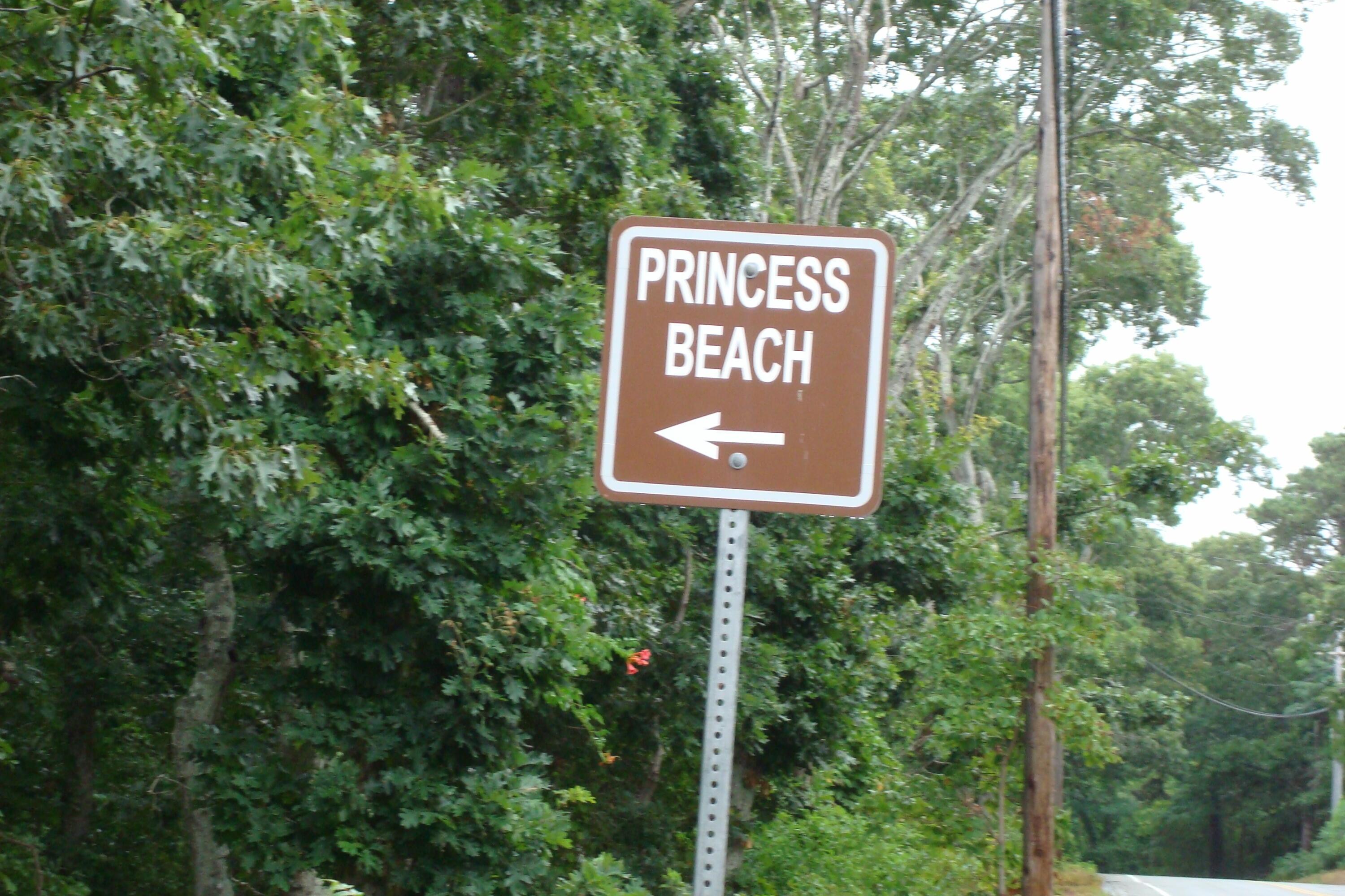 Image 3: DSC04111 (1)