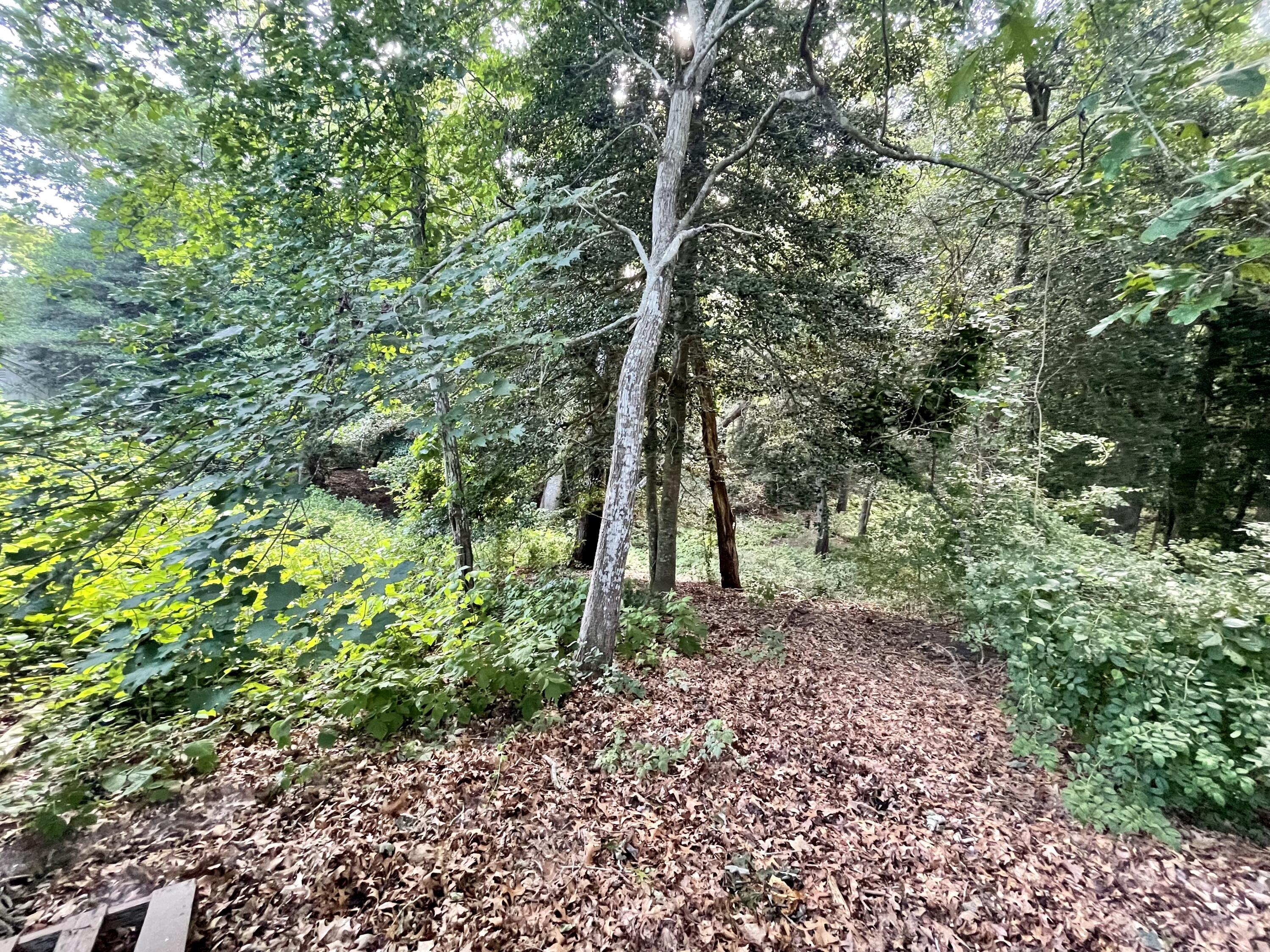 Image 2: land 2