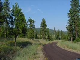 Ridge View Loop 3, 4, 5