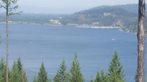 LOT 13 E Lisa Rd