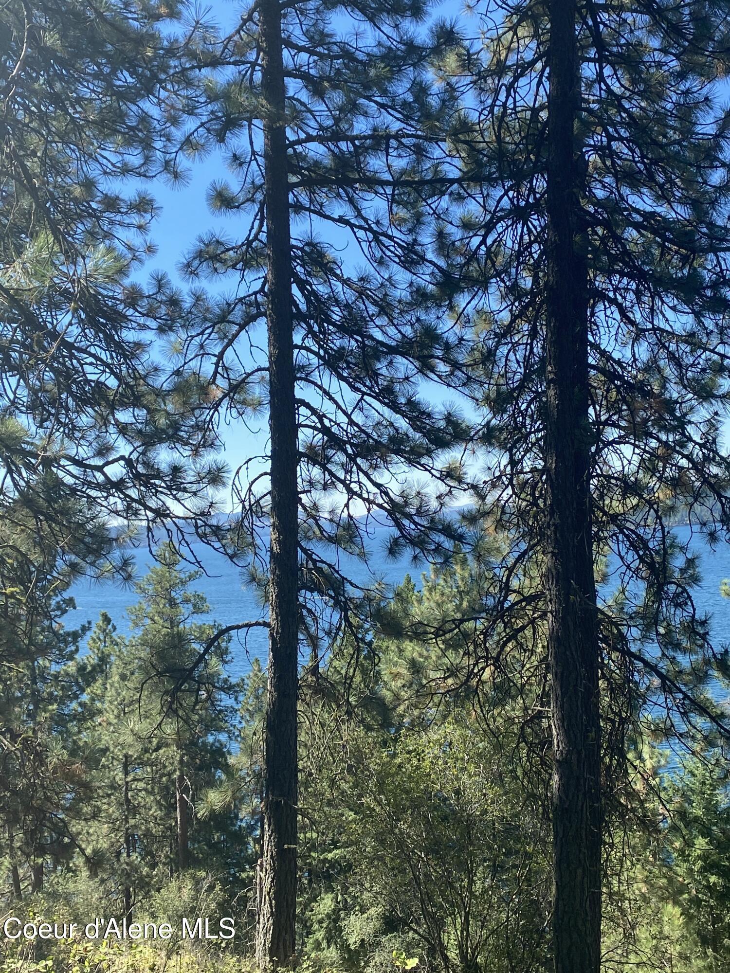 Image 2: View