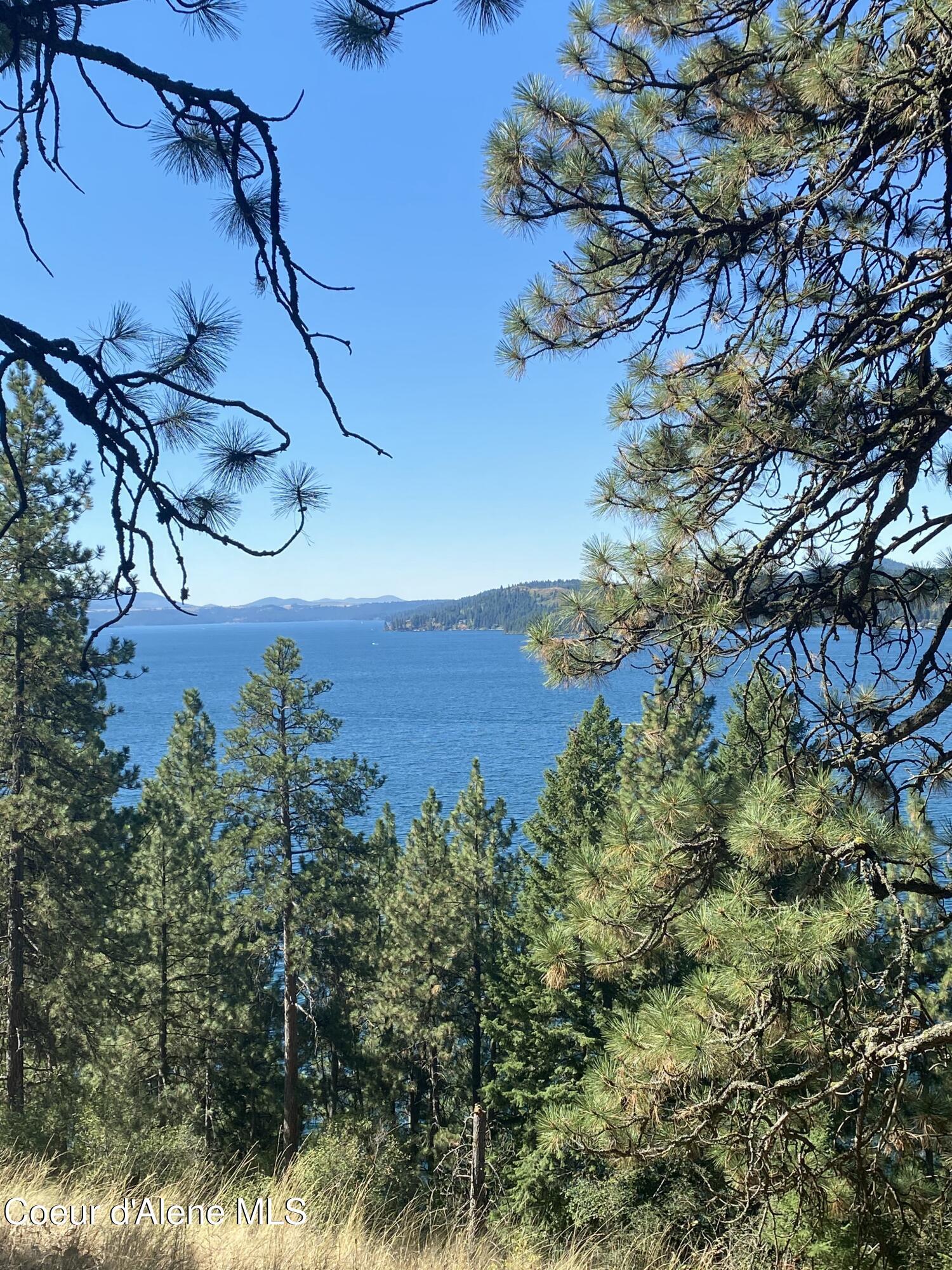 Image 4: View