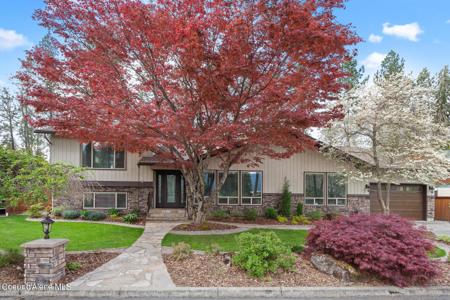 10101 PINES