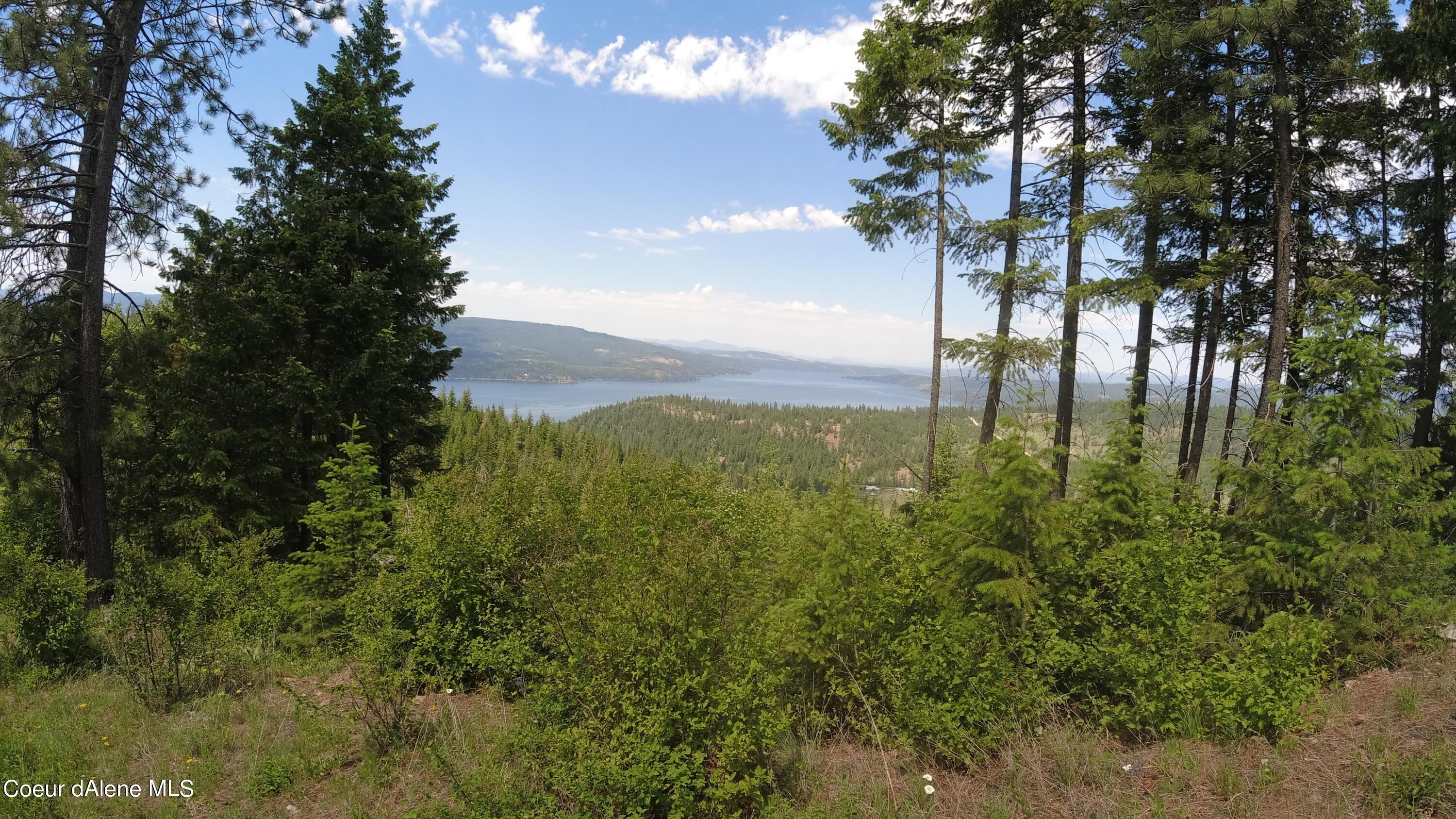 Image 4: Views