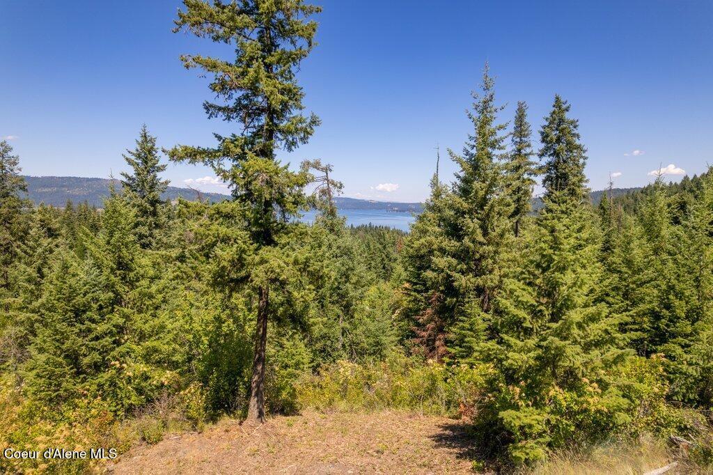 Image 3: Potential Buildsite w Views