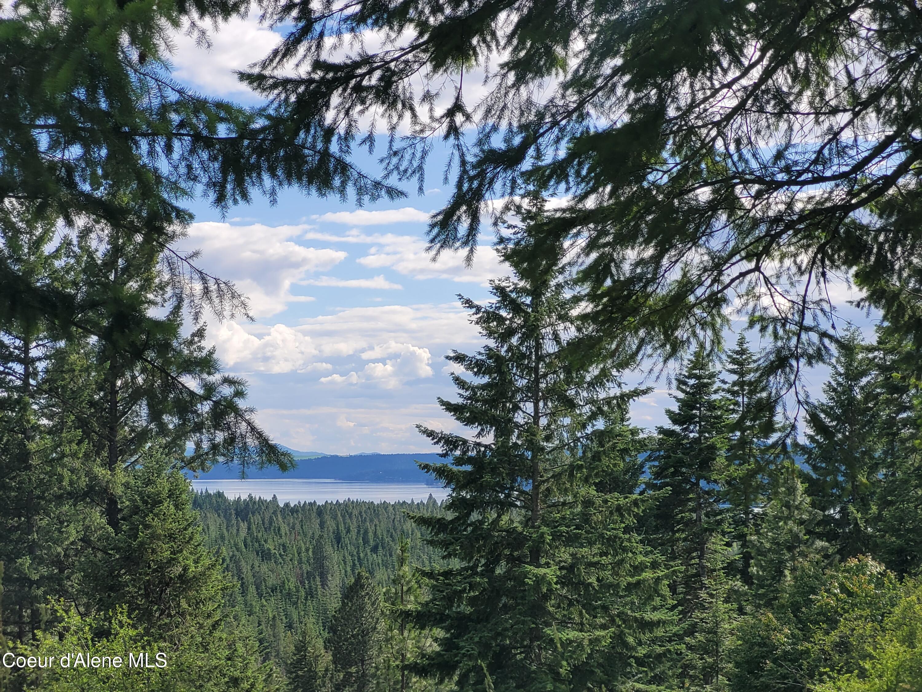 Image 2: 20230621_164607 (1)