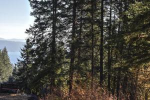 NNA S Lake View Drive