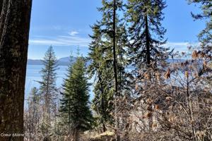 NNA Winter Ridge Road