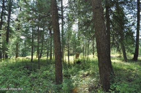 39 Forest Ridge RD