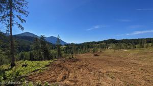 NNA E E Snake Lane-Lot 4 Galts Gulch