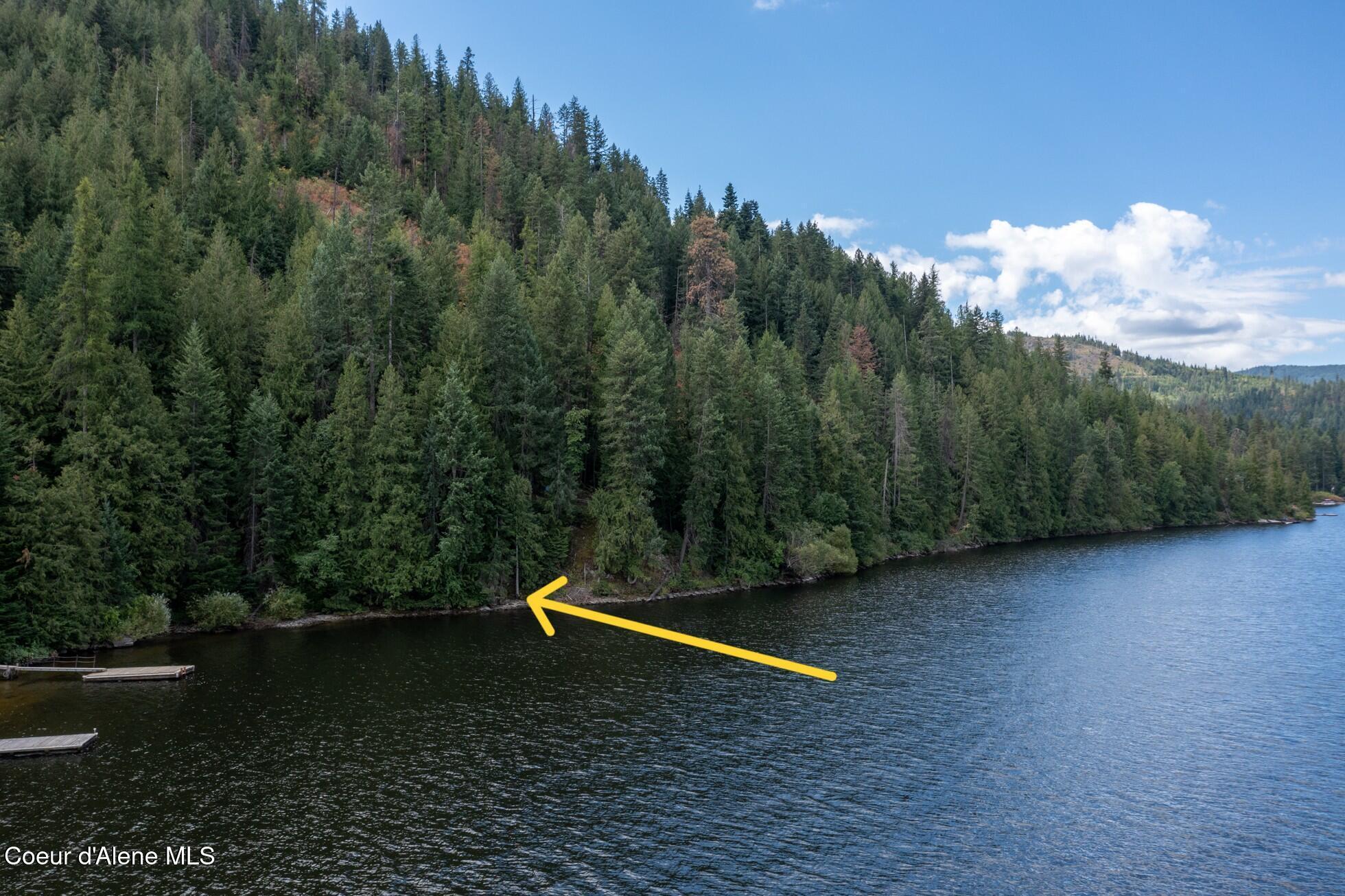Image 4: Shoreline Arrow