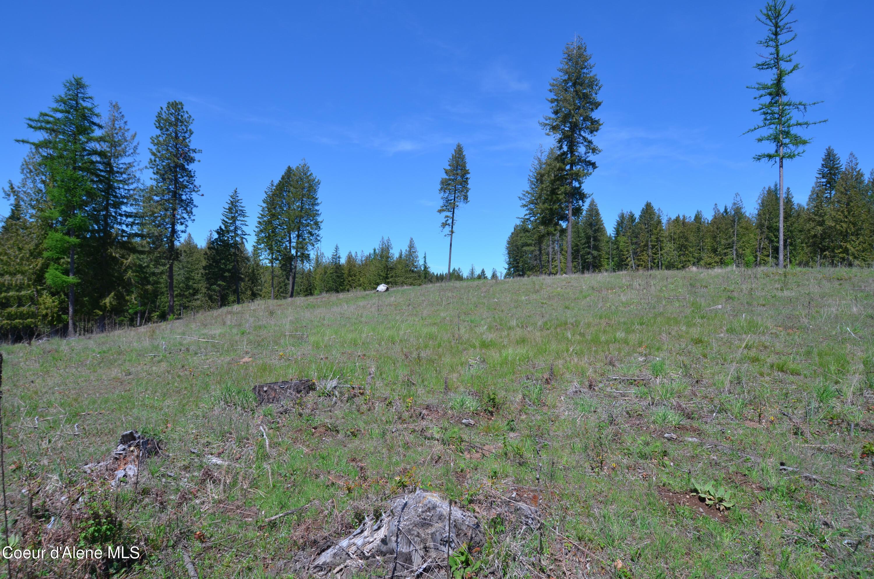 Image 4: Lot 21 CB 5-9-2024 - (5)